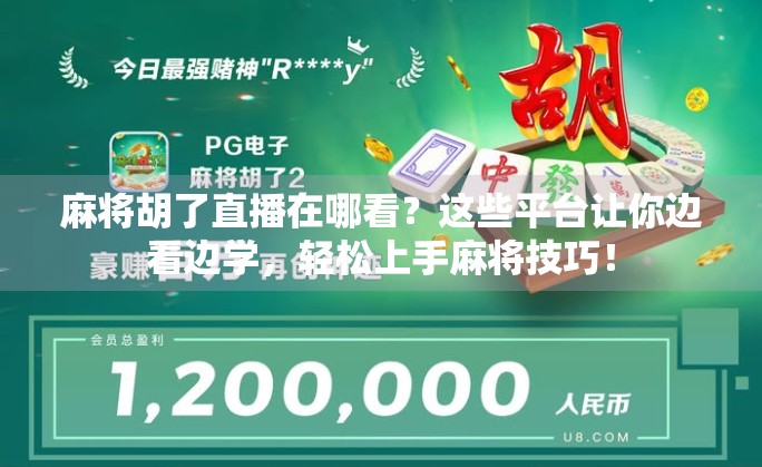 麻将胡了直播在哪看？这些平台让你边看边学，轻松上手麻将技巧！