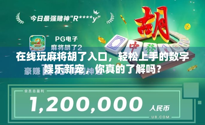 在线玩麻将胡了入口，轻松上手的数字娱乐新宠，你真的了解吗？