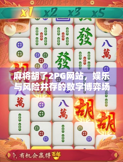 麻将胡了2PG网站,娱乐与风险并存的数字博弈场 麻将胡了2PG网站,娱乐与风险并存的数字博弈场