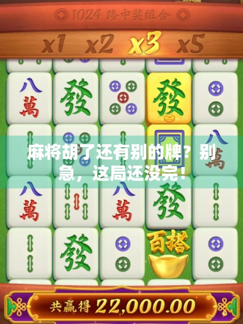 麻将胡了还有别的牌?别急,这局还没完! 麻将胡了还有别的牌?别急,这局还没完!