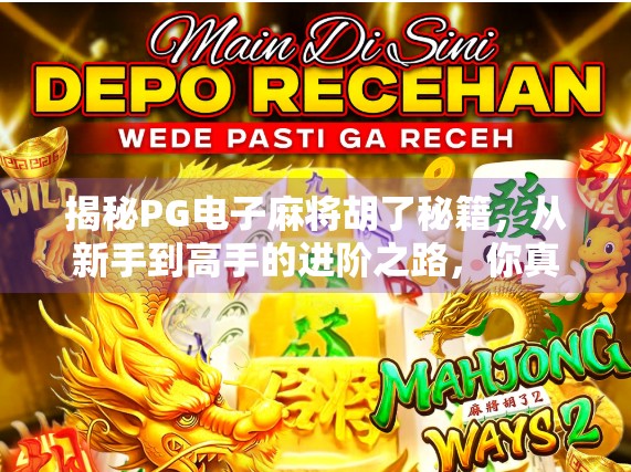 揭秘PG电子麻将胡了秘籍,从新手到高手的进阶之路,你真的懂这游戏吗?