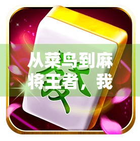 从菜鸟到麻将王者，我用PG麻将胡了100次，悟出了这3个底层逻辑！
