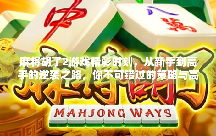 麻将胡了2游戏精彩时刻，从新手到高手的逆袭之路，你不可错过的策略与高光瞬间！